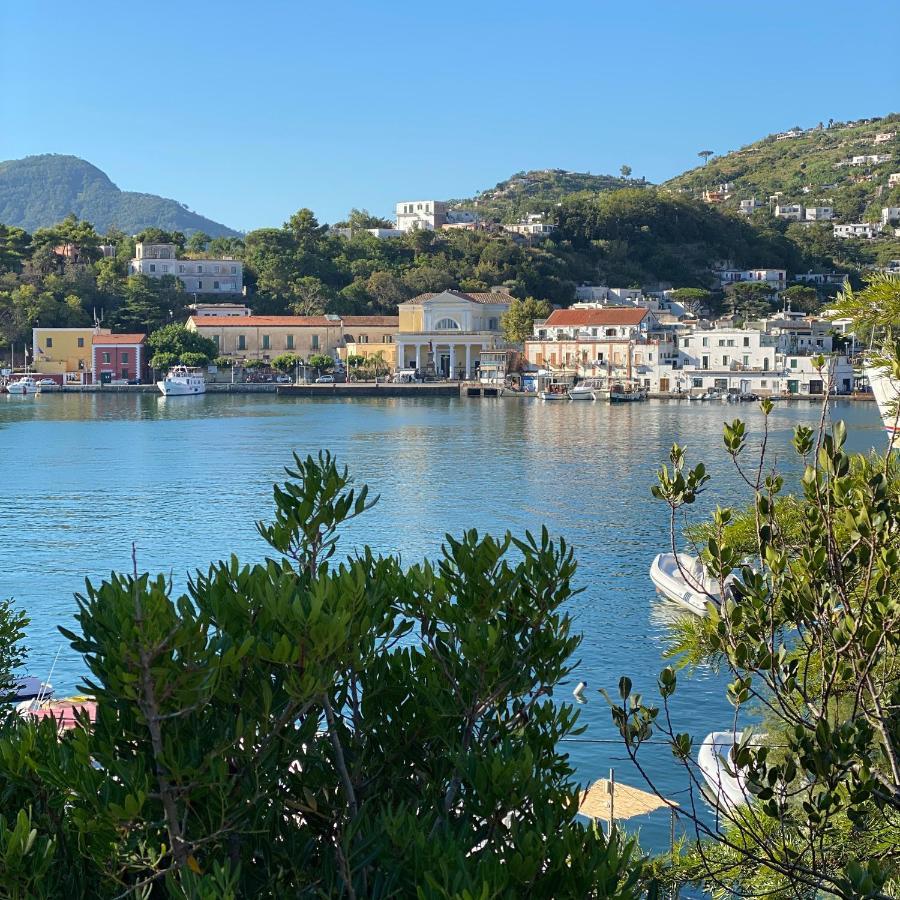 Vittoria Colonna Luxury B&B Ischia Dış mekan fotoğraf