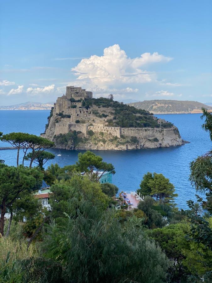 Vittoria Colonna Luxury B&B Ischia Dış mekan fotoğraf